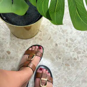 Palas Clara